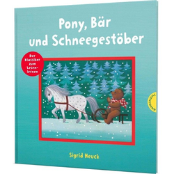 The image of Pony, Bär und Schneegestöber